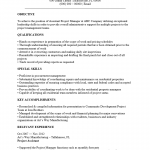 Assistant Project Manager Resume Template