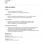 Functional High School Student Resume Template