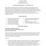 Professional Business Analyst Resume Template