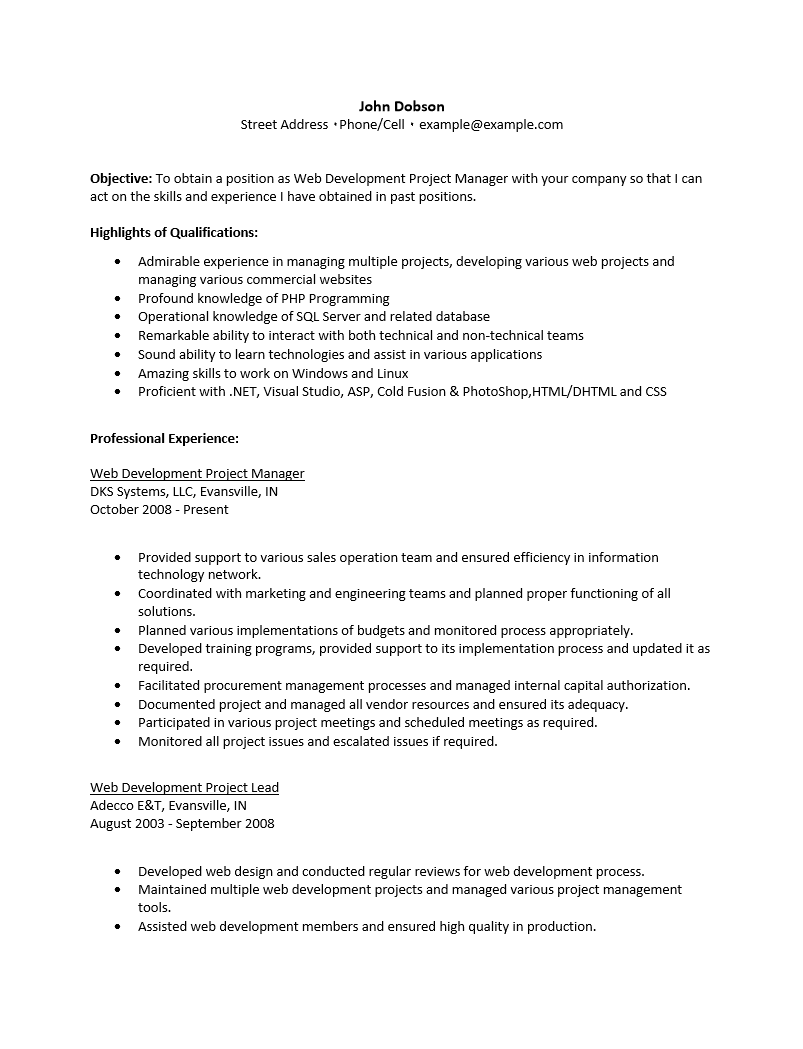 Sample project manager resume templates