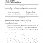 Chronological Resume Template