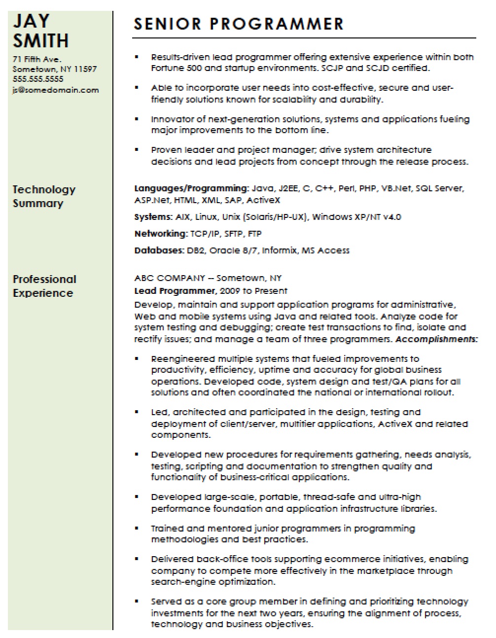 Professional Computer Programmer Resume Template Resume Templates