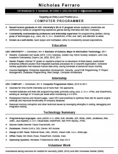 Entry Level Computer Programming Resume Template : Resume Templates