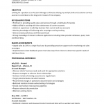 Account Manager Resume Template