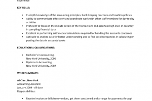 Accounting Assistant Resume Template