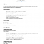 Entry Level Business Analyst Level Resume Template