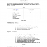 Entry Level Nanny Resume Template