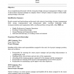 Entry Level Project Manager Resume Template