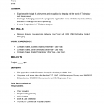 IT Business Analyst Resume Template