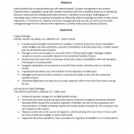 Infrastructure Project Manager Resume Template