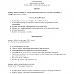 Labor and Delivery Nurse Resume Template
