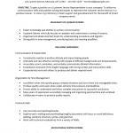 Functional Customer Service Resume Template