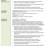 Professional Computer Programmer Resume Template